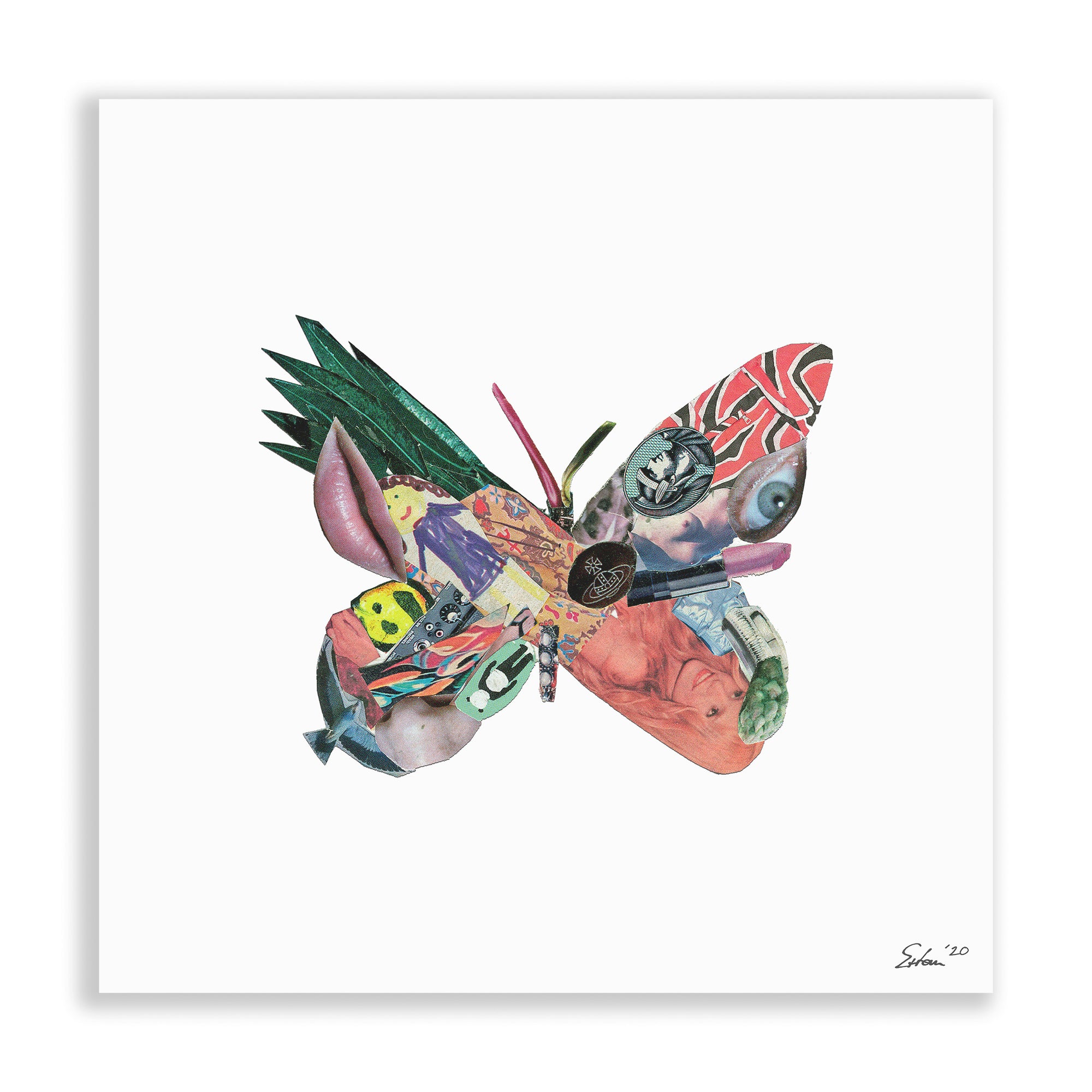 Butterfly - Print