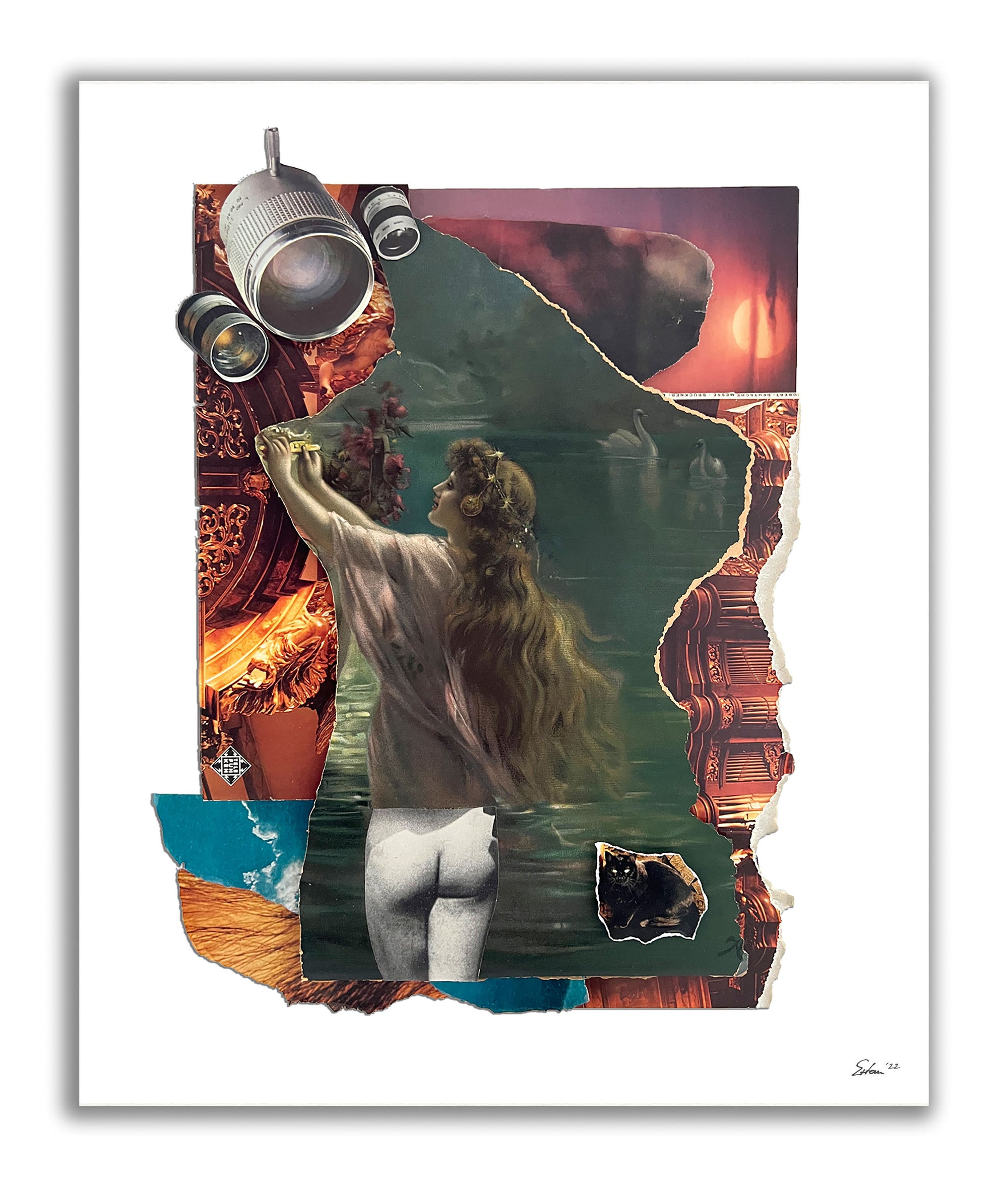 Muse - Print