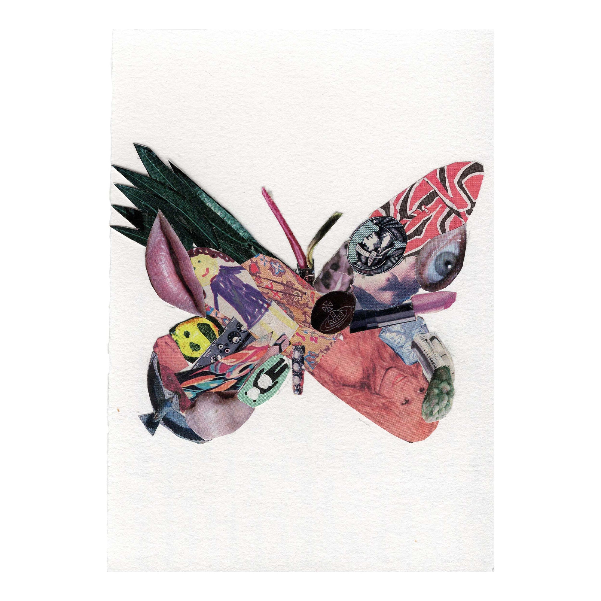 Schmetterling - 2020